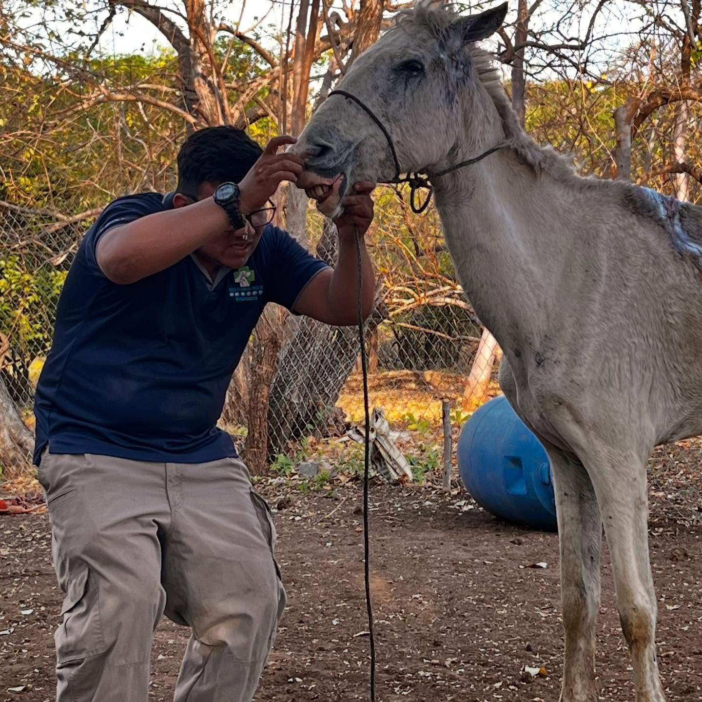 485644695_18491588452030903_1898889170150404596_n