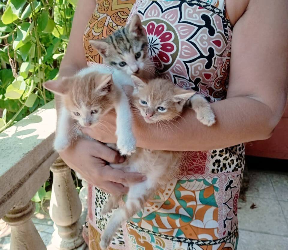 491150686_1089451123225940_7835871758201657455_n