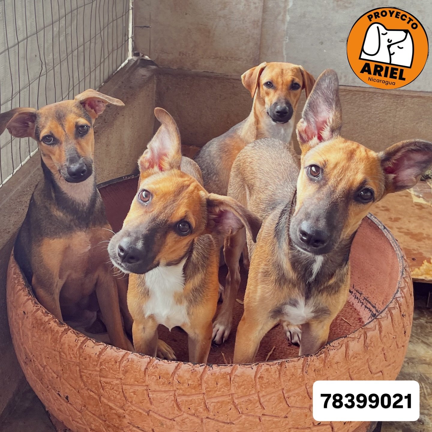 504217939_18506552590030903_5647391191998880621_n