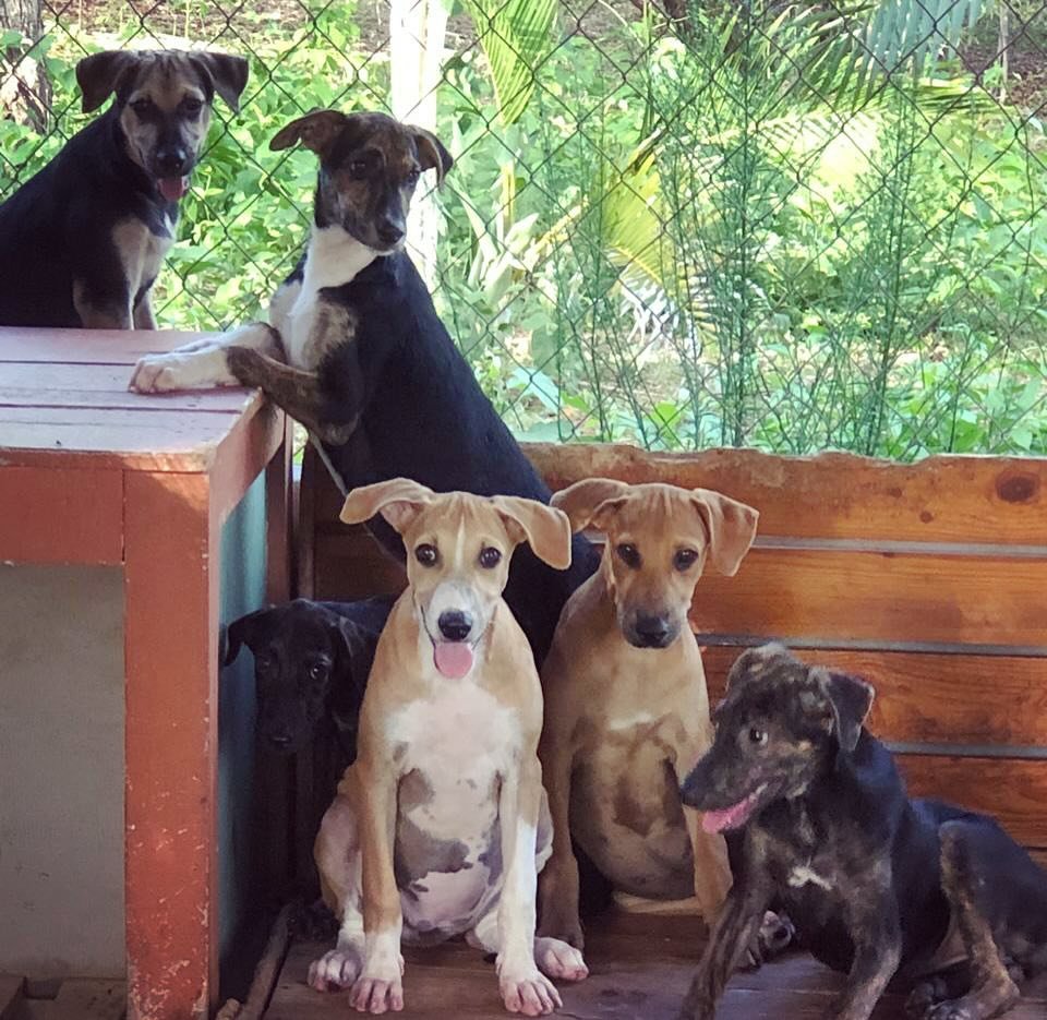 505130268_18506119267030903_4361166606266001680_n