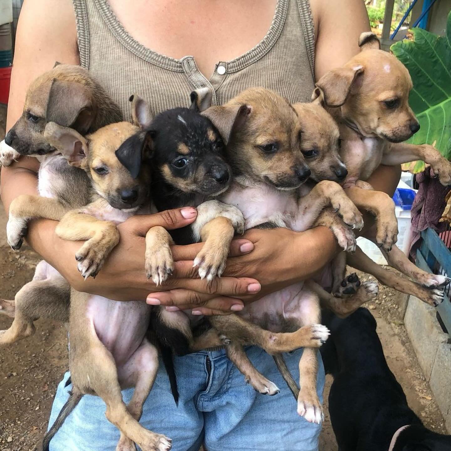 527602778_18517042939030903_4027423621771766232_n