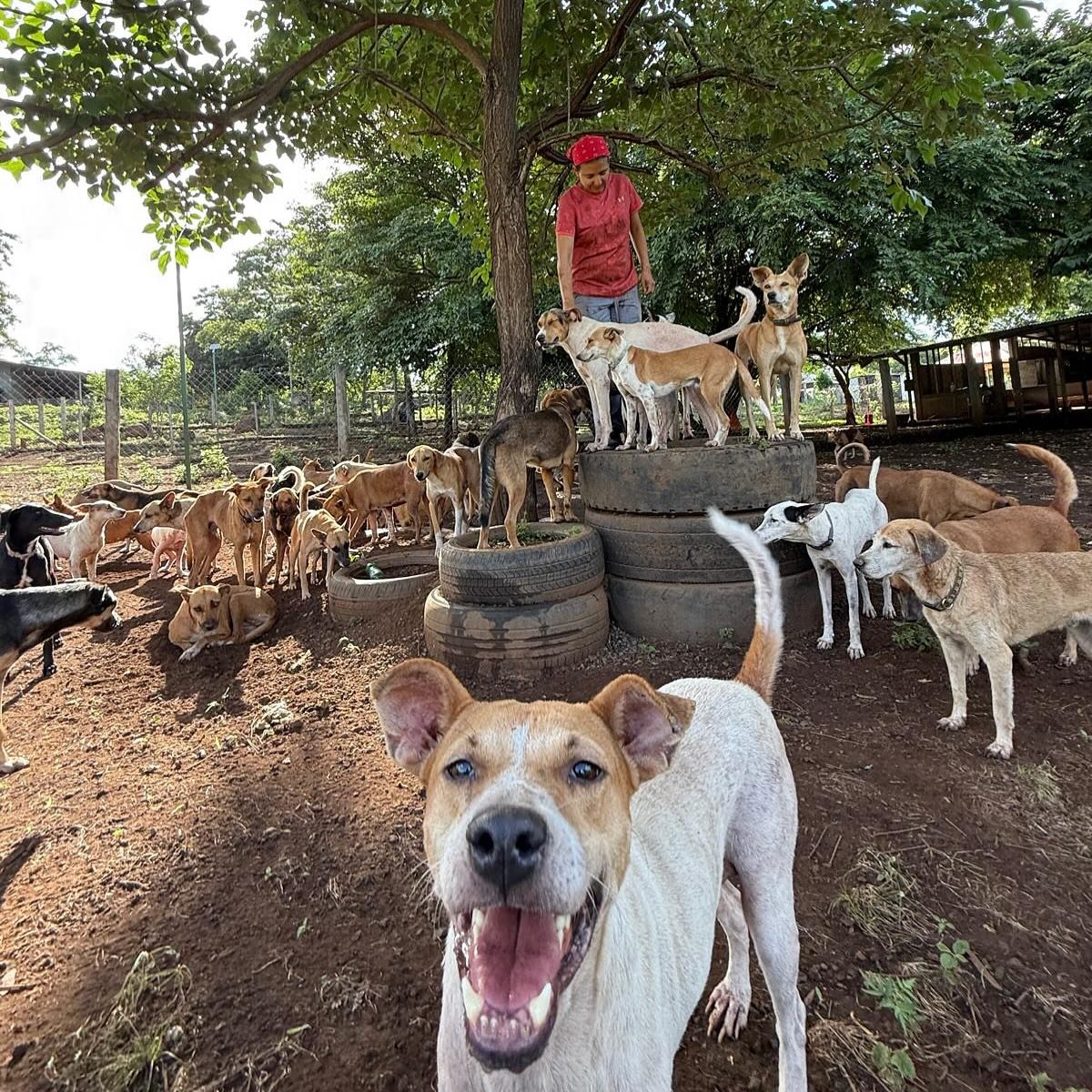 527614005_18516896431030903_598820300779693881_n